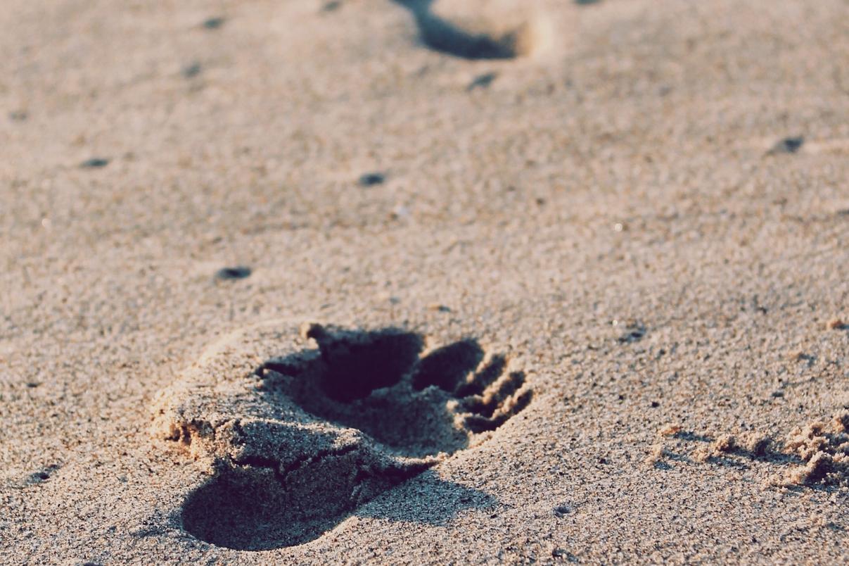 Rerum harum ullam sint quo magnam