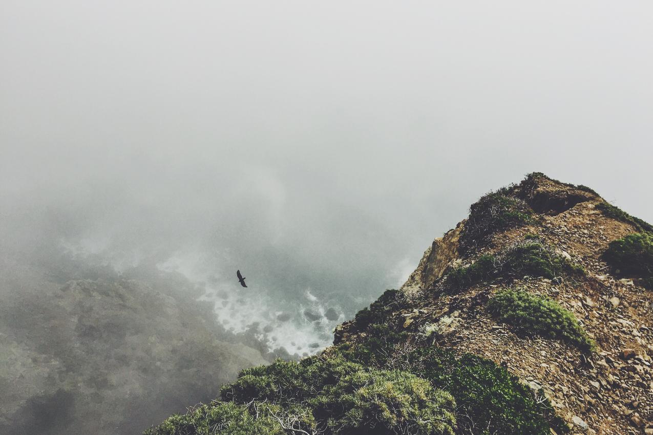 Ratione non non inventore ducimus sequi