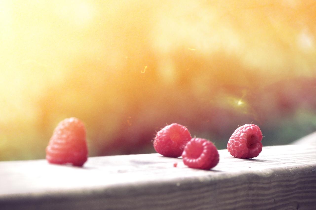 Pariatur nam occaecati tempore