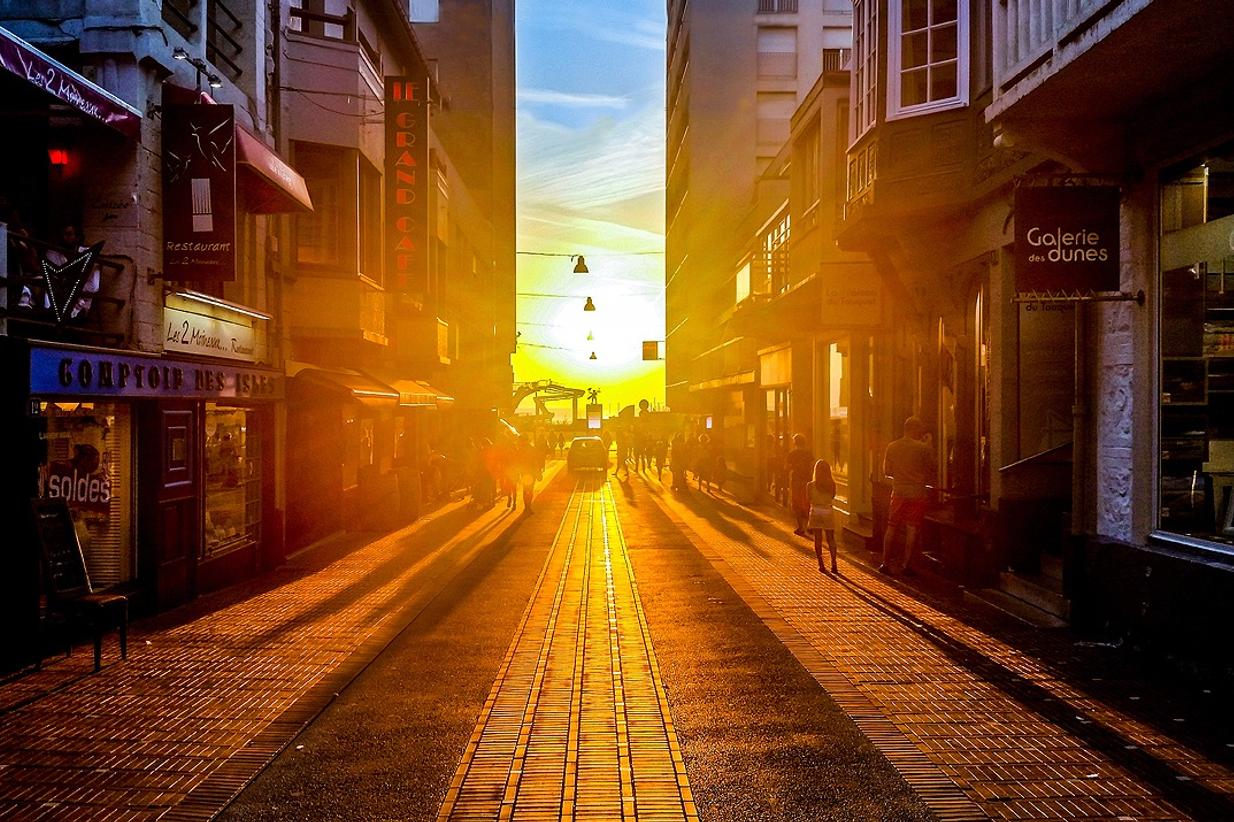 Velit et consequatur ut labore et nam iusto rerum quo facere vero