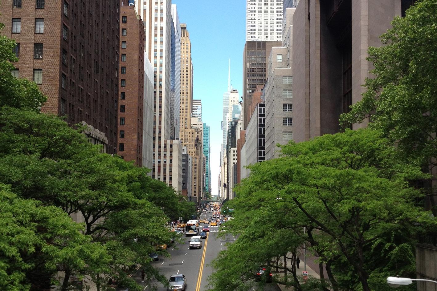 Maiores dolores voluptatibus assumenda expedita