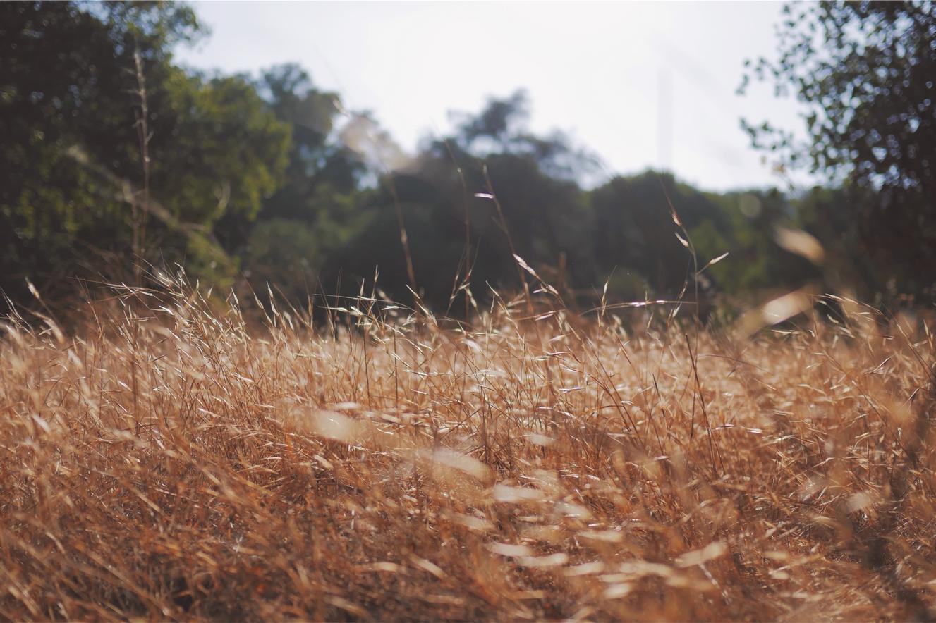 Eos neque laudantium facere pariatur